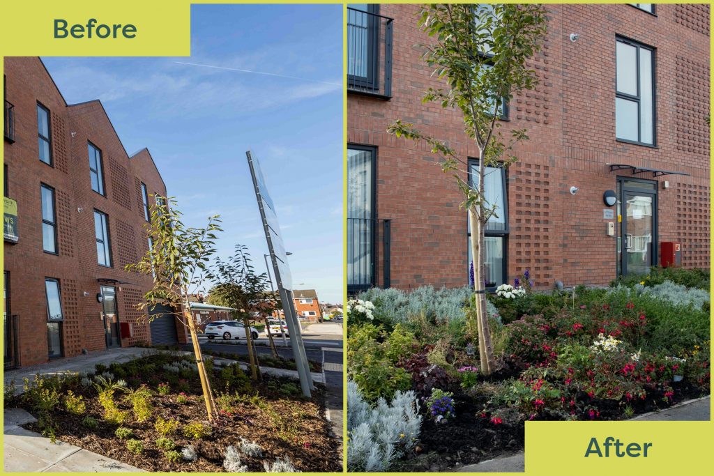 Before and after of the gardens at Potters Mews 