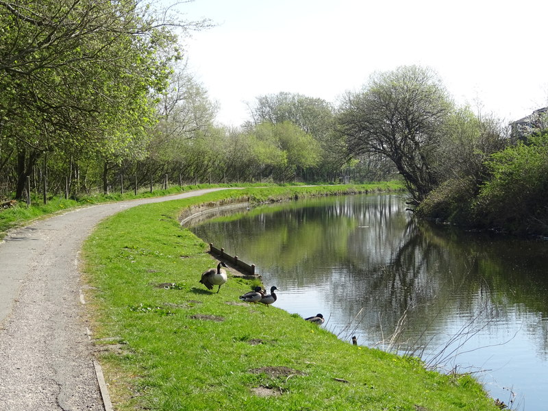 Leeds & Liverpool canal, Rishton