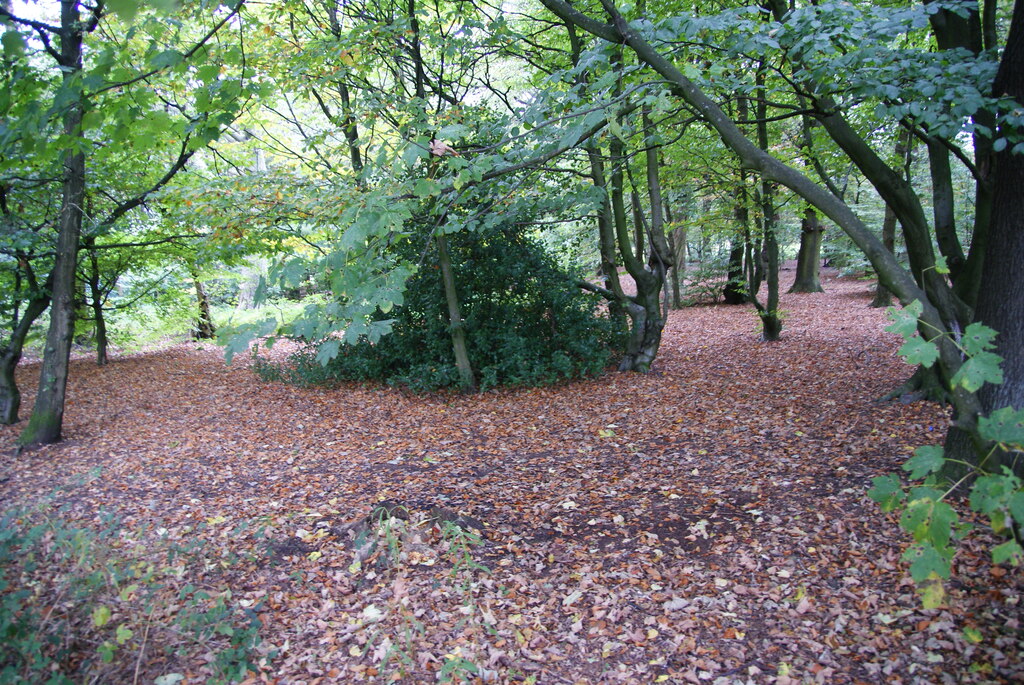 Cutwood Park, Rishton 