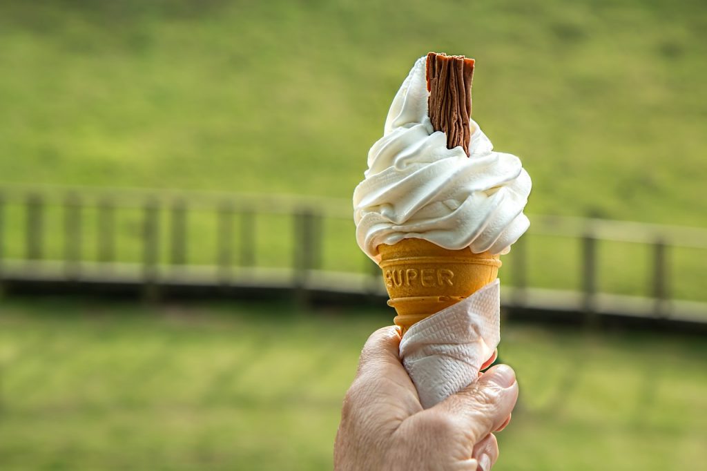 Living in Leyland - Robinsons, The Dairy Shop